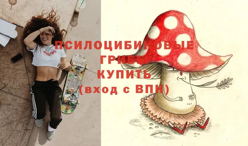 купить наркоту  KRAKEN ссылка  Галлюциногенные грибы Psilocybe  Родники 